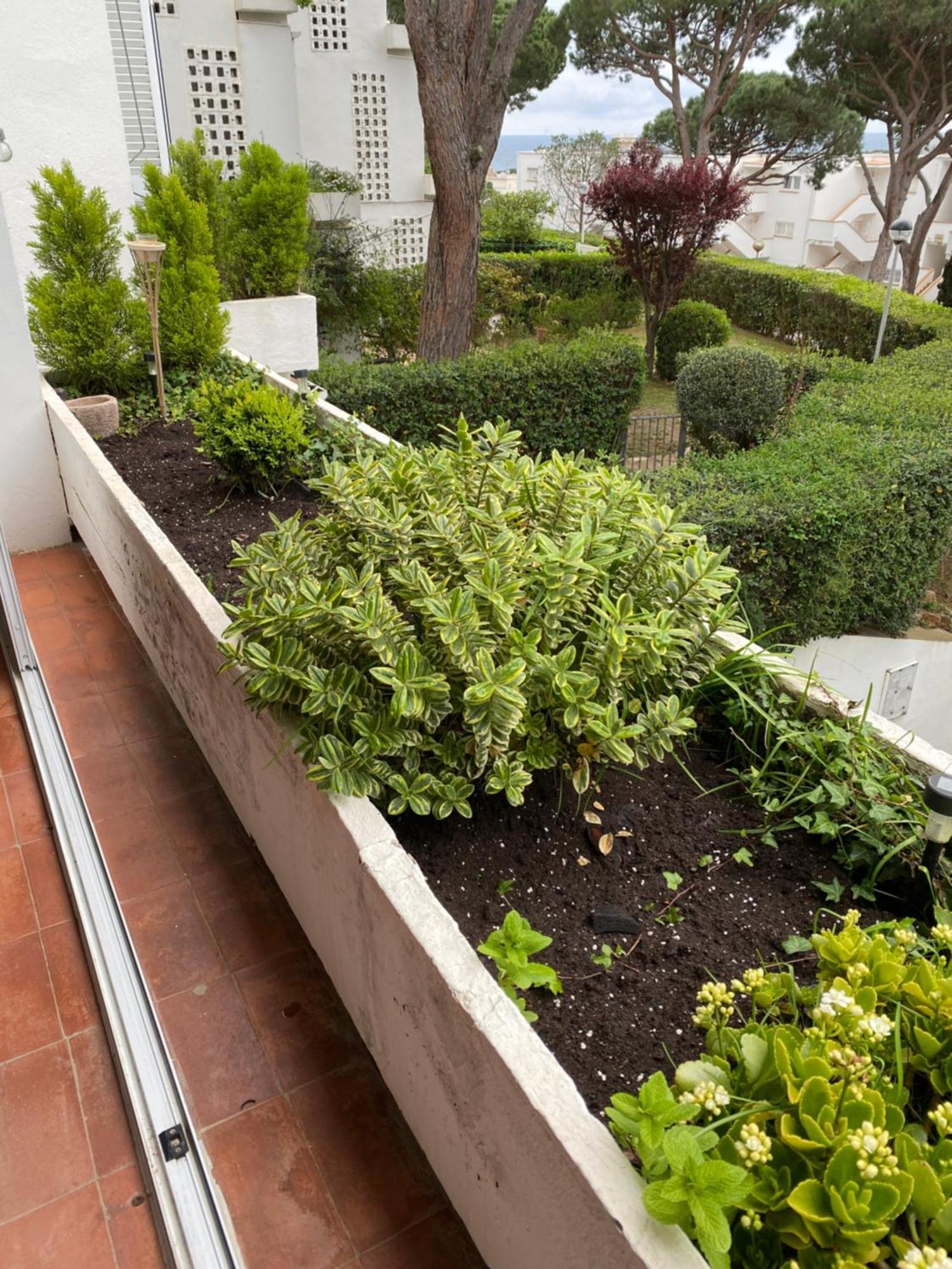 Politur Apartment Platja d'Aro Exterior photo